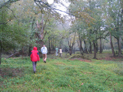 Students on field trip in bottomland hardwood forest